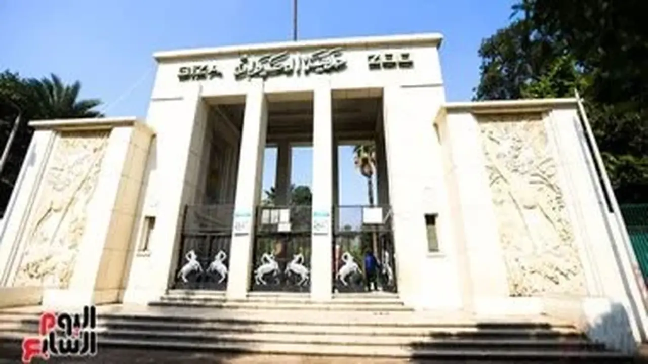 مشروع تطوير حديقة الحيوان يحصل على 3 اعتمادات دولية تعزز مكانته عالمياً